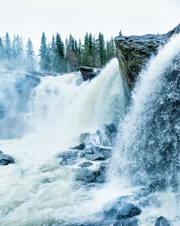 Stor mäktig vattenfall med skummande vattenfallande över klippor i naturskön skogsmiljö med höga granar i bakgrunden i Sverige