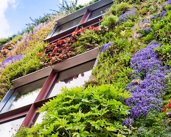 Ekologiska byggnaders fasad.